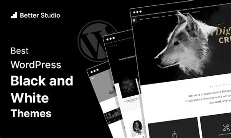 18 Best Wordpress Black And White Themes 🖤🤍 2022 Betterstudio