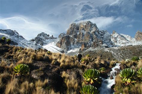 Mt Kenya National Park Travel Central Highlands And Laikipia Kenya