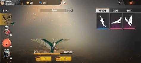 I own several birds myself. Free Fire Falco Pet Name Style: Choose The Best Name For ...