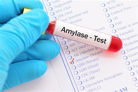 The Incredible Health Benefits Of Amylase Facty Health