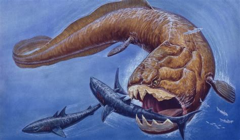 9 Extinct Exotic Sea Creatures Howstuffworks