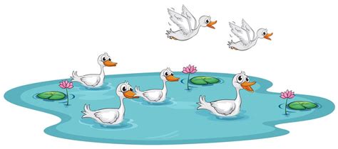 A Group Of Ducks At The Pond 525785 Vector Art At Vecteezy