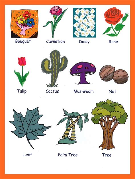 A picture is worth a thousand words. ESL Picture Vocabulary - GrammarBank