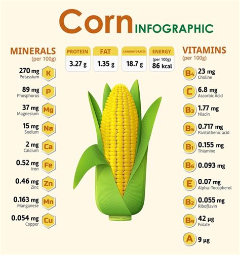 15 Tremendous Health Benefits Of Corn You Must Know My Health Only