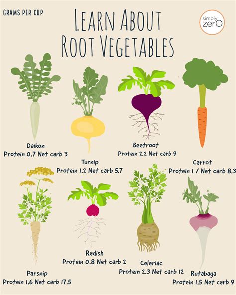 8 Root Vegetables That Are Full Of Good Carbs