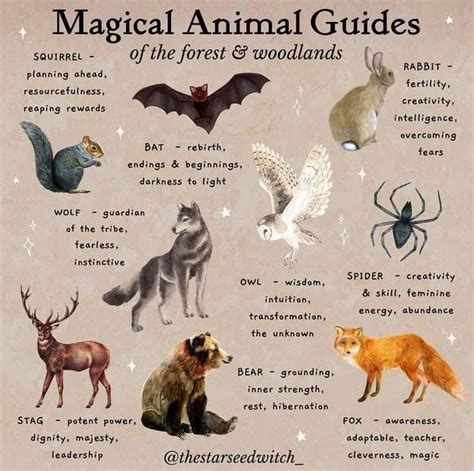 Witchcraft Spell Books Wiccan Spell Book Wiccan Spells Animal