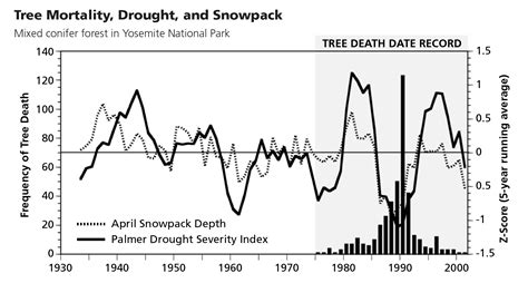 Climate Change Tree Mortality Yosemite National Park Us National