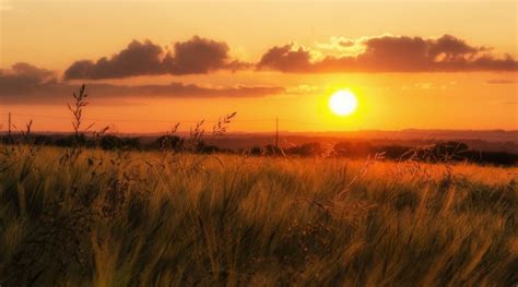 Beautiful Nature Grass Sunset Field Sky Wallpaper 2048x1137 929216