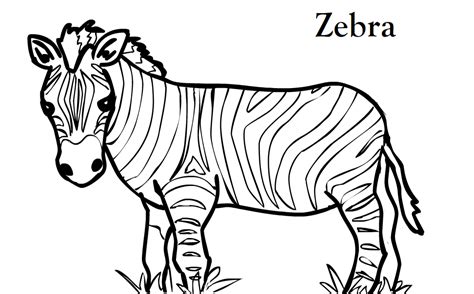 Pictures Of Zebras To Color Coloring Home