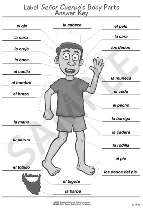 20 Spanish Body Parts Worksheet Printable 35 Label Body Parts In