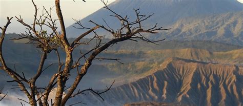 Exclusive Travel Tips For Your Destination Mtbromo In Indonesia
