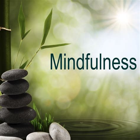 The Art of Meditation & Mindful Living | Northridge Education Centre