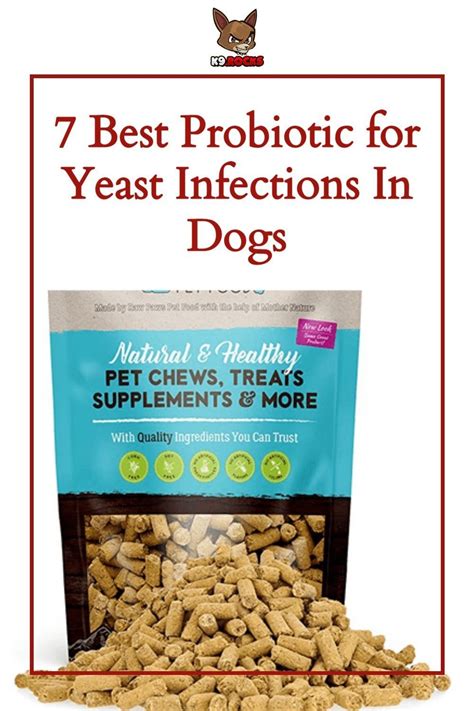 7 Best Probiotic For Yeast Infections In Dogs K9 Rocks Best