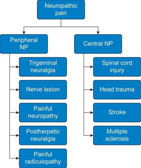 Advances And Challenges In Neuropathic Pain A Narrative Review And