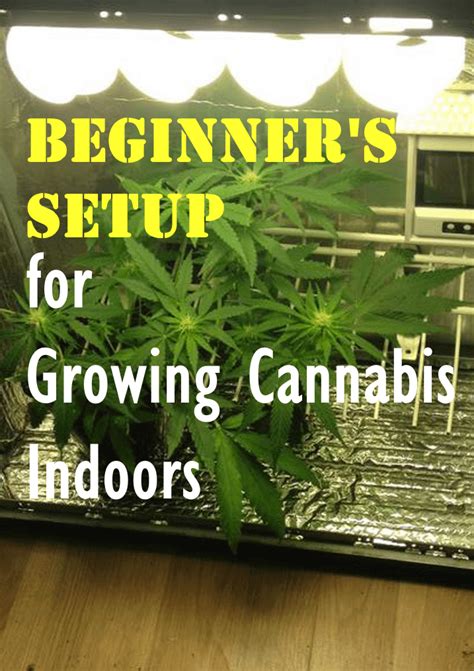 Best Grow Tent For Growing Cannabis 2017 Reviews And Guide