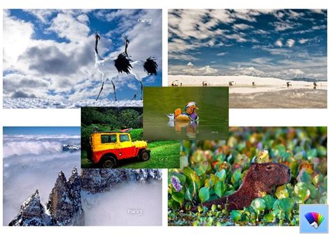 Daily Bing 43 Theme For Windows 8
