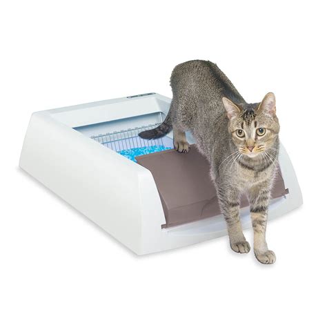 Self Cleaning Litter Box For 2 Cats Cat Meme Stock Pictures And Photos