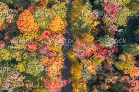 Aerial View Of Multi Colored Boreal Forest And Laurentian Mountain