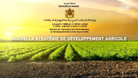 Appel à Projets Centre Dinnovation Agroalimentaire De Meknès