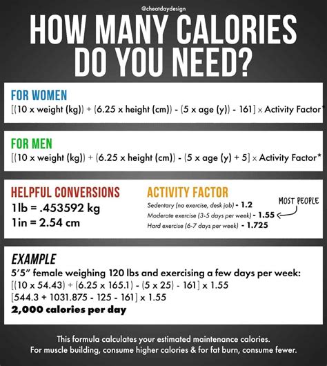 How Many Calories Does A Person Burn Daily Without Exercise Exercise
