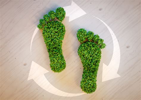 How To Reduce Your Ecological Footprint At Home Nuenergy