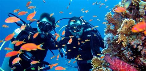 Antalya Scuba Diving Tour Best Turkey Travel Agency And Turkey Tour