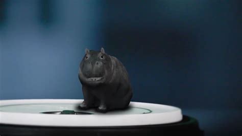 House Hippo Ads Are Back And Canadians Still Want To Have One As A Pet