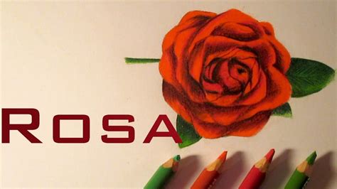 Dibujo De Una Hermosa Rosa Cómo Dibujar Rosas Hd Youtube
