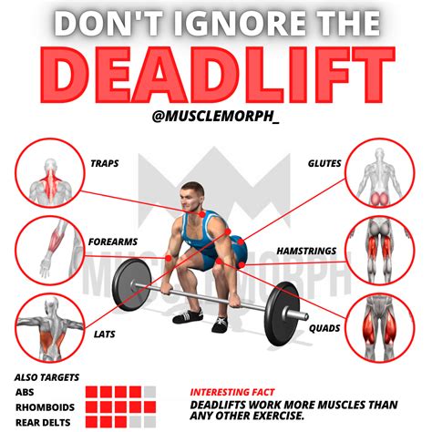 Deadlift In 2021 Strength Workout Deadlift Fun Workouts