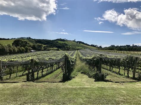 4 Of The Best Waiheke Wineries To Visit From Auckland