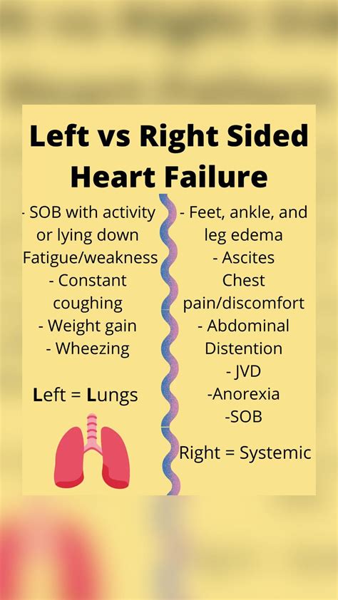Nursing Student Cheat Sheet Left Vs Right Sided Heart Failure Lungs