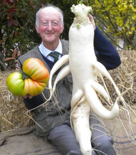 Giant Vegetables You Wont Believe Are Real Wow Gallery Ebaum S World