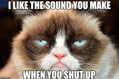 Internet Meme Legend Grumpy Cat Passes Away At The Age Of 7 How Much