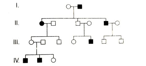 In The Following Human Pedigree The Filled Symbols Represent The Affected Individuals Identify