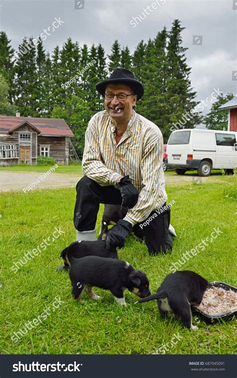 Farmer Saam His Lapland Reindeer Dog Stock Photo Edit Now 687045091