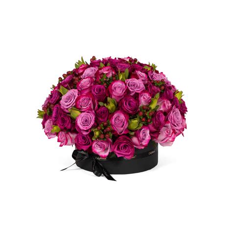 Classic Rose Boulevard Delivered In Beverly Hills Onlyroses