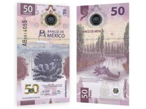 Elementos De Seguridad Del Nuevo Billete De 50 Pesos Porn Sex Picture