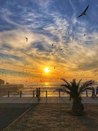 Sea Point Beach (Cape Point) - 2021 All You Need to Know Before You Go