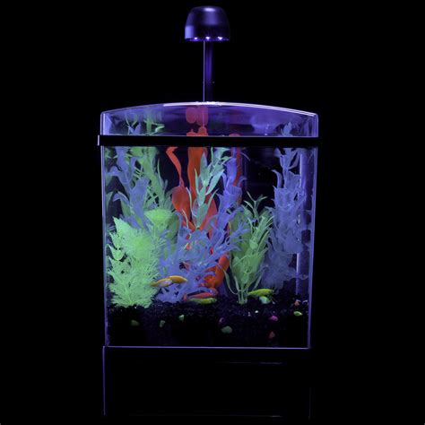 Glofish 15 Gallon Aquarium Kit Petco