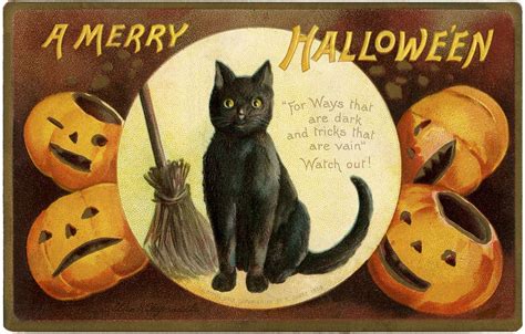 Halloween Cat Vintage Halloween Cards Vintage Halloween Images