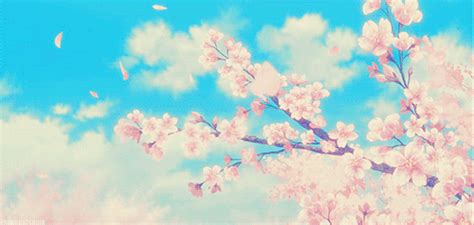 Falling Cherry Blossom  Tumblr