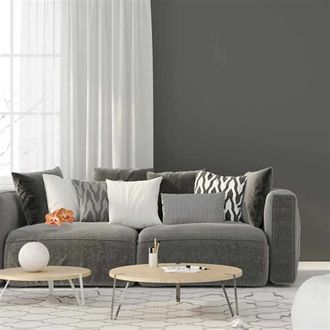 34 Gray Couch Living Room Ideas Inc Photos Home Decor