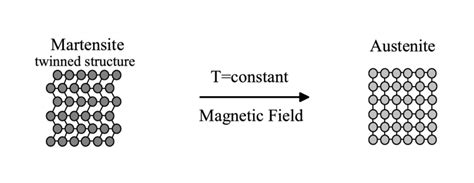 5 Schematic Representation Of Magnetic Field Induced Reverse