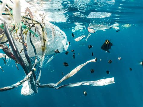 Science And Partnerships Key To Tackling Marine Plastic Pollution