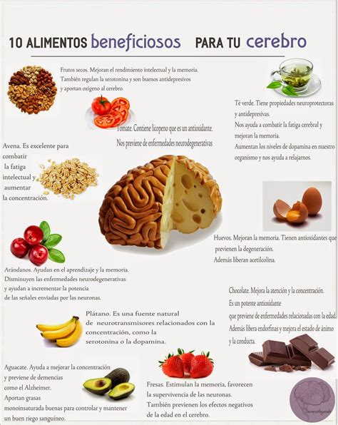 Alimentos Beneficiosos Para Tu Cerebro Neuropsicologueando
