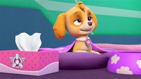 Paw Patrol S2 Ep217 Pups Save A Sniffle Full Episode Paw Patrol Pups