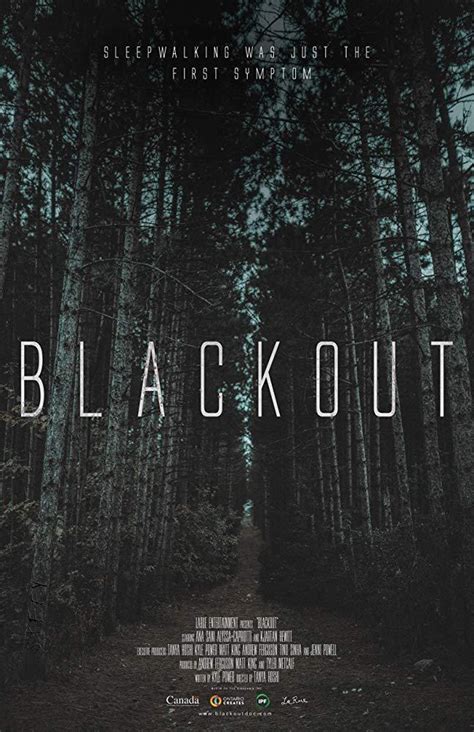 Politicien projeté sous les feux de l'actualité, daniel demoys risque de voir un scandale éclabousser sa vie privée et sa carrière. Blackout (Serie de TV) (2019) - FilmAffinity
