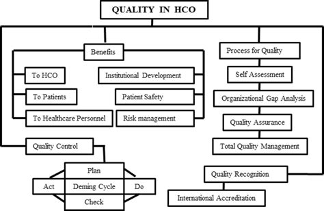 Quality Control Flow Chart In Health Care Organization