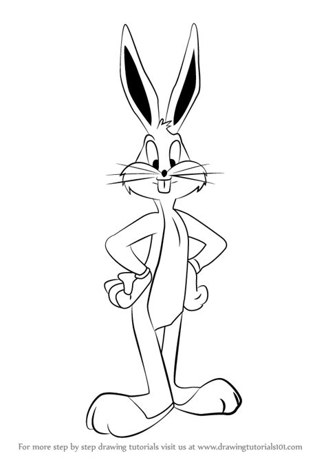 How To Draw Easy Bugs Learn How To Draw Bugs Bunny From Looney Tunes