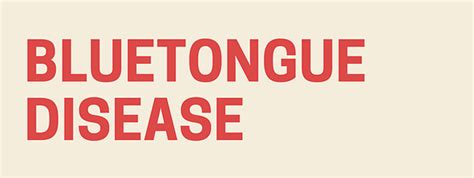 Blue Tongue Disease Bluetongue Virus Infographic